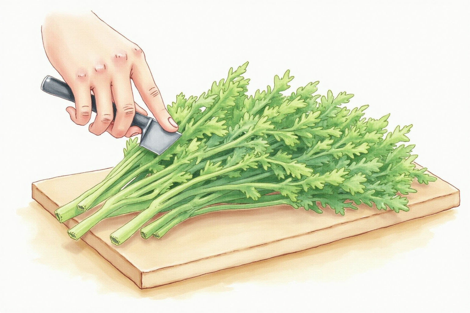 Hand making a precise vertical slice through herbs